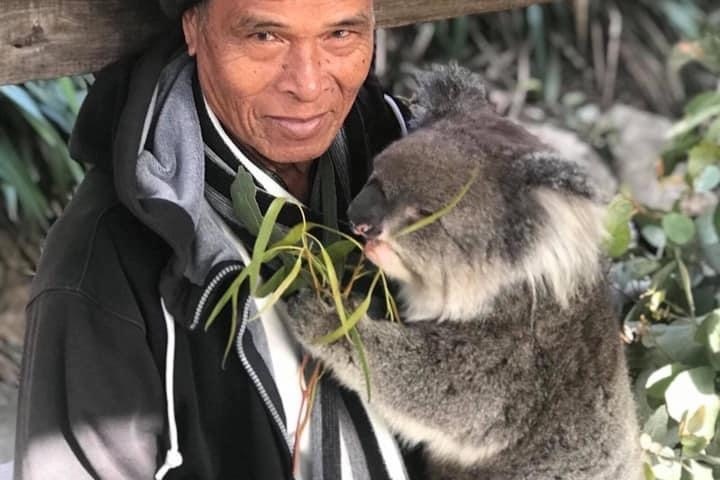 a man standing in front of a koala