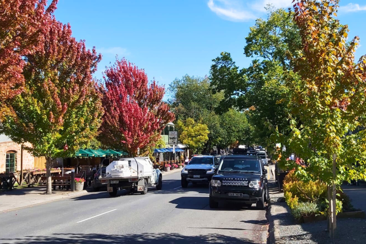 a car driving down a street next to a tree