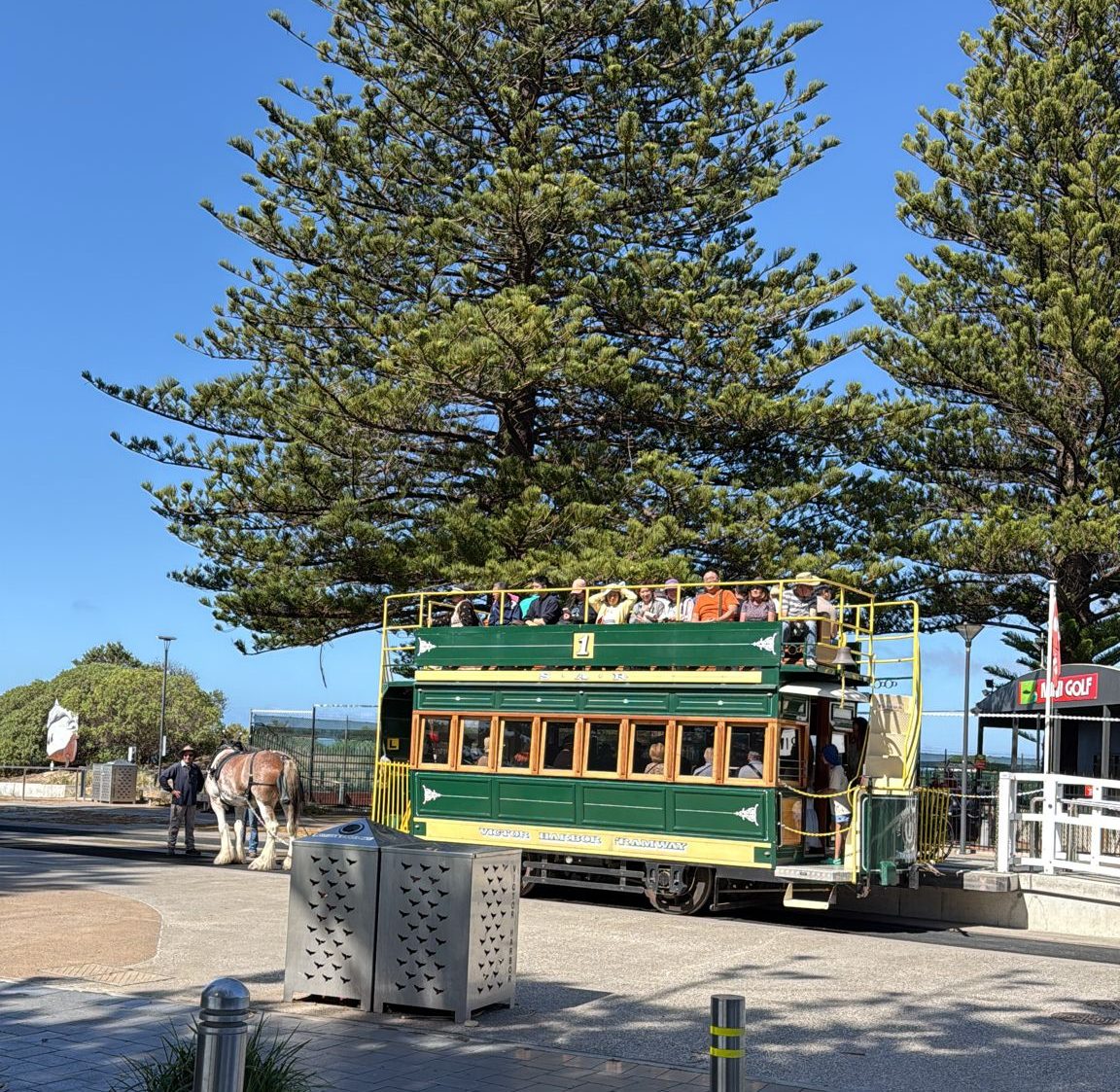 Horse-drawn green tram with passengers on a sunny day, framed by tall pine trees.