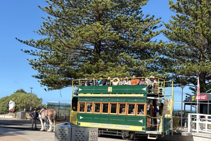 Horse-drawn green tram with passengers on a sunny day, framed by tall pine trees.
