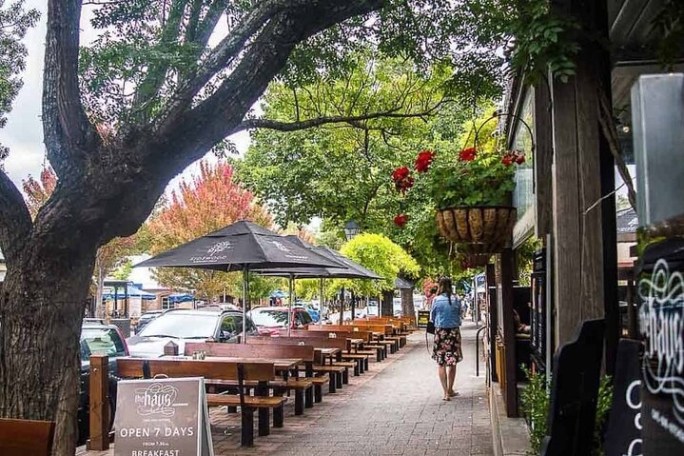 a group of people on a sidewalk next to a tree