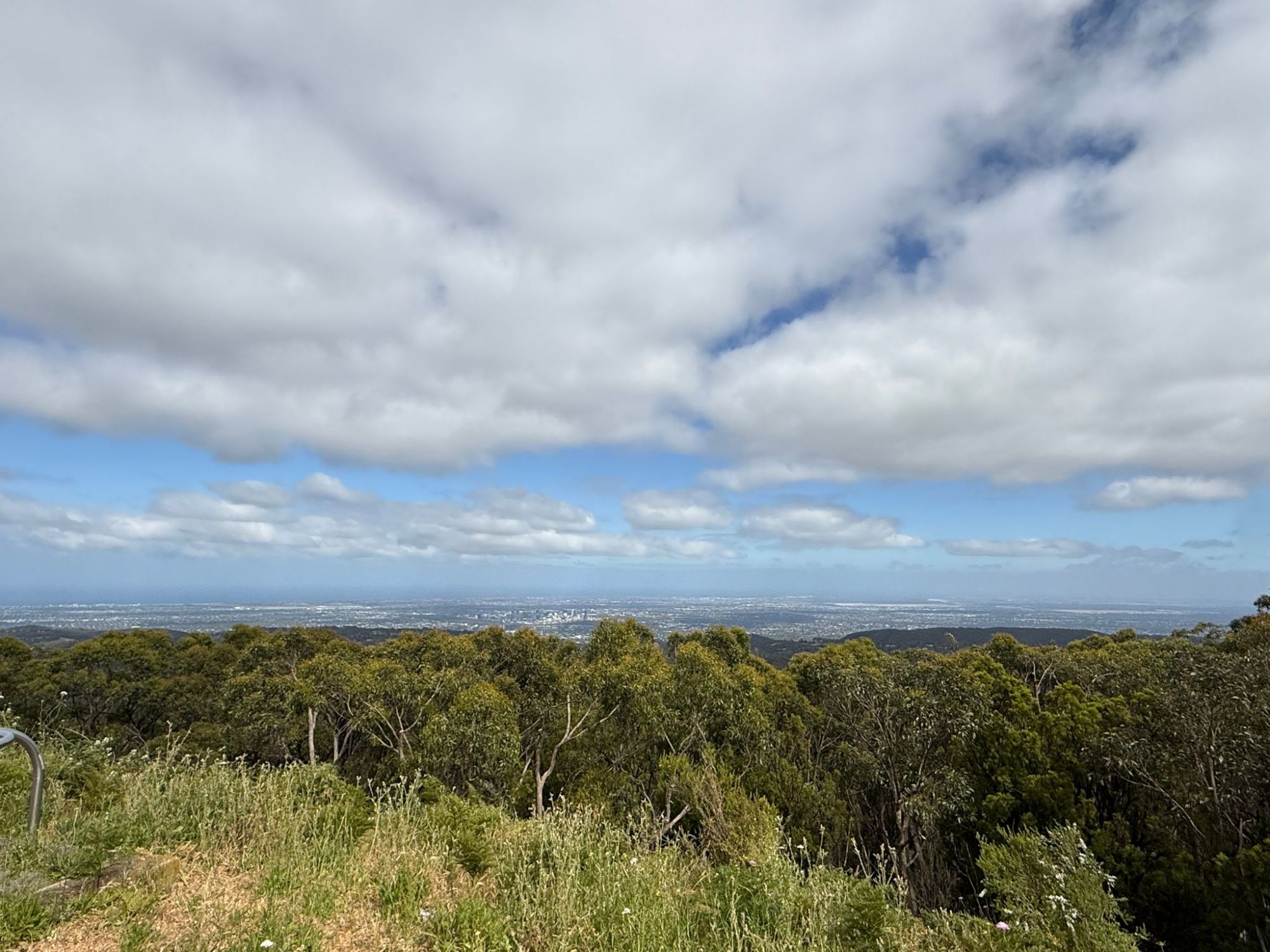 Scenic view from hilltop with greenery, clouds, and distant city skyline.