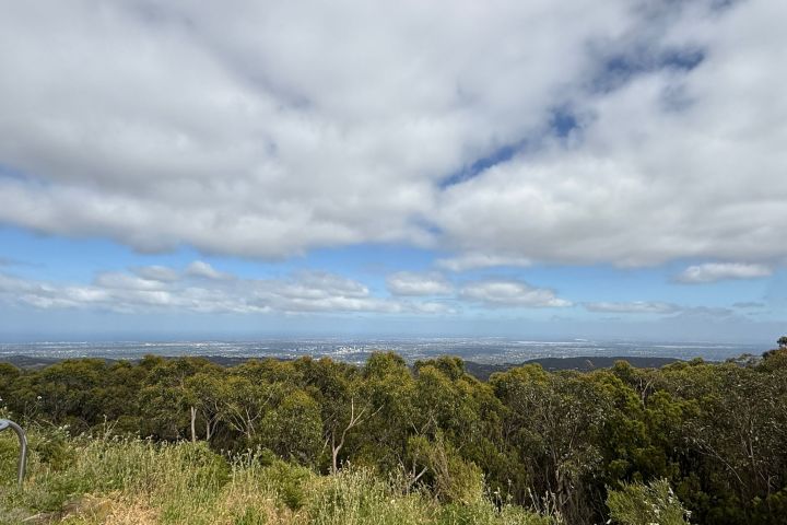 Scenic view from hilltop with greenery, clouds, and distant city skyline.