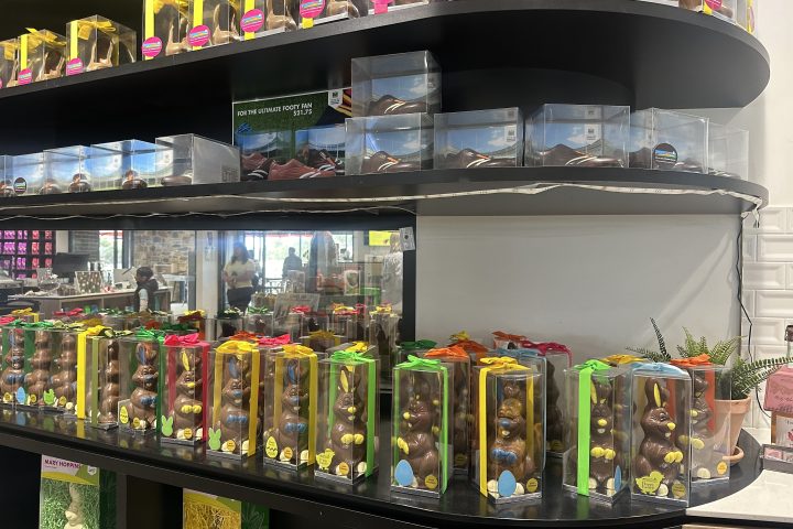 Shelves of chocolate Easter bunnies in clear boxes with colorful ribbons in a shop display.