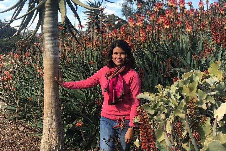a man standing in front of a palm tree