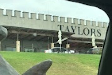 a parrot sitting on top of a building