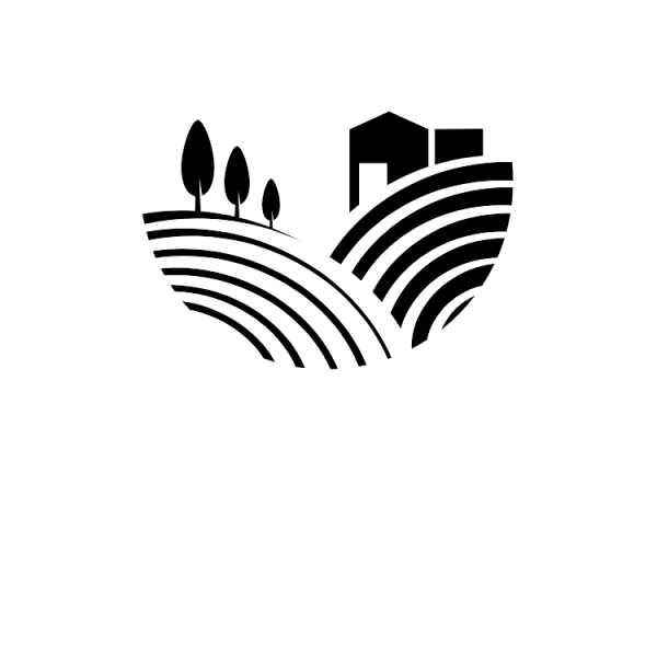 BOS Adelaide Wine Tours and Sightseeing