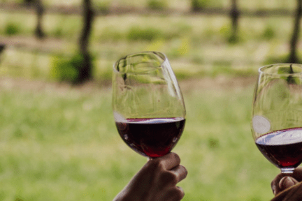 a group of people sitting at a table with wine glasses