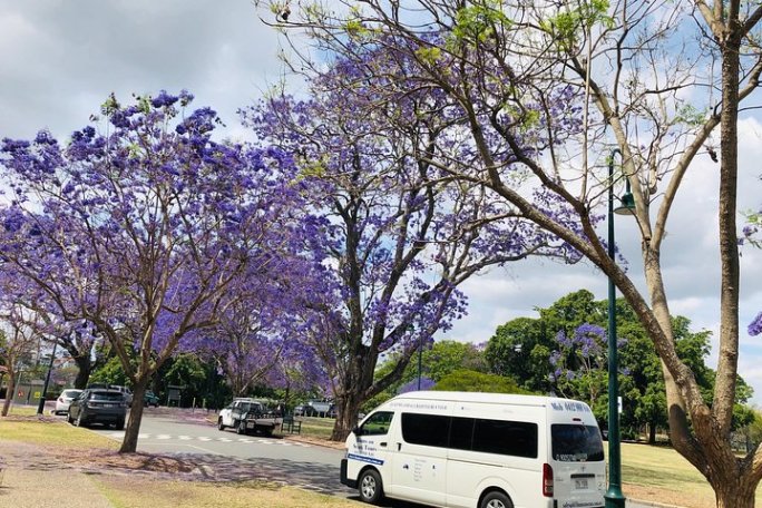 a bus parked on the side of a road