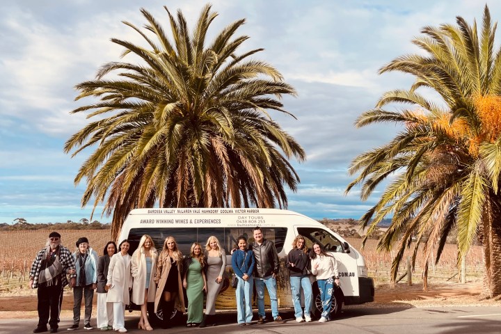 Group of people standing in front of a van and palm trees in a vineyard.