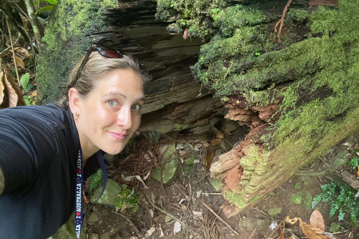 a person standing next to a tree