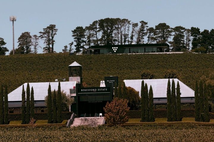 Vineyard estate with trees and a vehicle in front of a modern building under a clear sky.