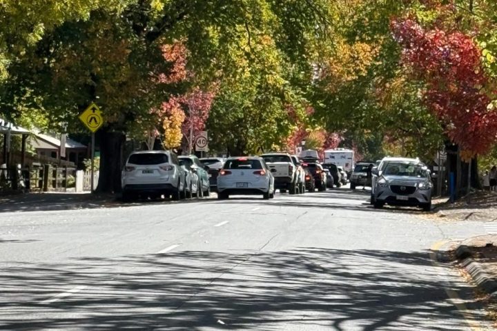Tree-lined street with parked cars under dappled sunlight, autumn leaves turning colors.