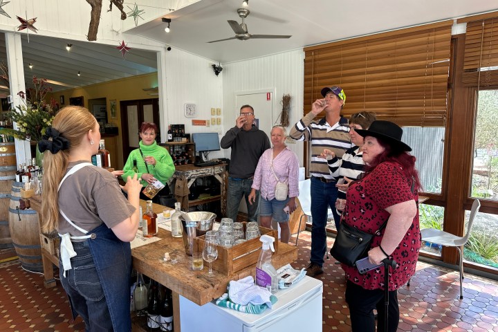 Group of people tasting wine in a cozy room with wooden blinds and decorative bottles.