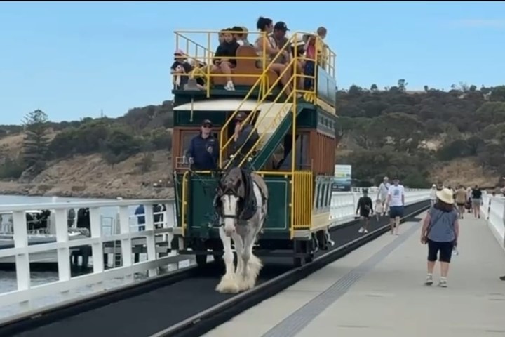 Horse-drawn tram with passengers on a bridge.