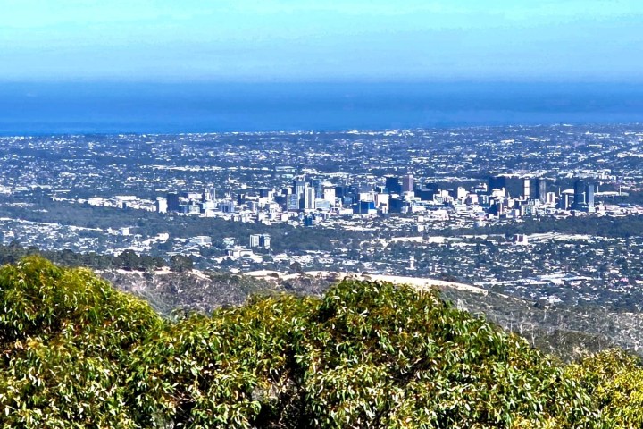 City skyline with buildings, trees in foreground, and ocean in background.